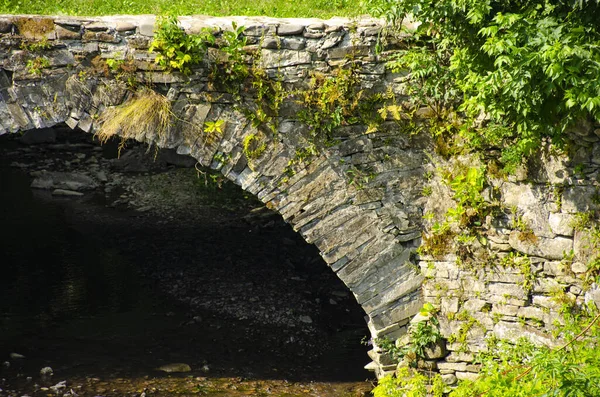 Część Akweduktu Kamienia Porośniętego Zielenią Przez Górski Potok Karpatach Ukrainie — Zdjęcie stockowe