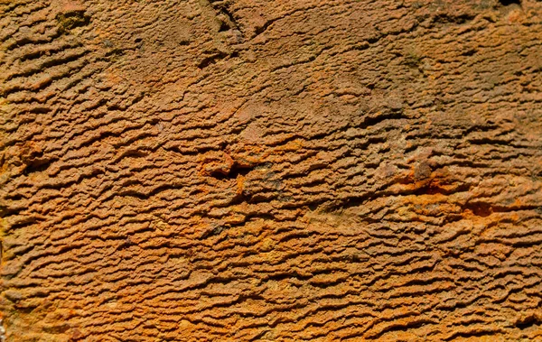 Arancio mattone texture macro primo piano, vecchio dettagliato grezzo grunge strutturato copia spazio sfondo, verticale grungy intemperie macchiato vintage incrinato backstein muratura taglio modello — Foto Stock