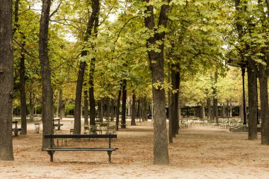 Park bankında Paris
