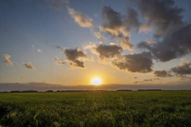 Valencia Albufera 'nın pirinç tarlasında gün batımında bulutlar, Valencia, İspanya.