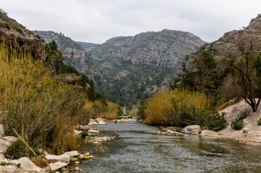 Rio Serpis, Villalonga, Valencia, İspanya 'daki eski tren yolunun yanında..