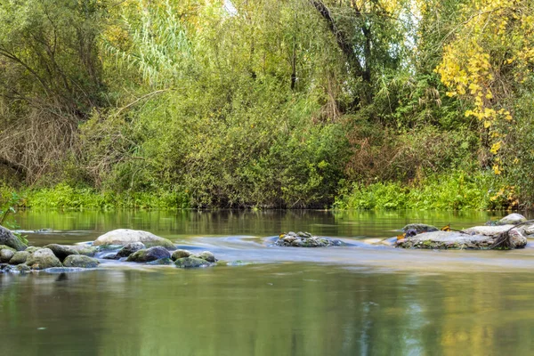 Rio Serpis Umgeben Von Pappeln Und Vegetation Einem Ruhigen Tag — Stockfoto