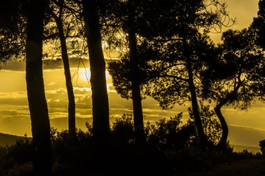 Gün batımında dağlarda, çamların arasında bulutların olduğu bir günde..