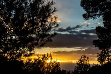 Gün batımında bulutlar ve güneş ışınları dağdaki çam ağaçları arasında .