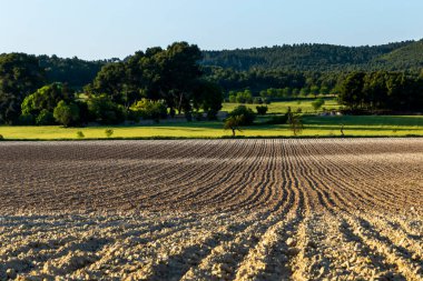 Toprağı farklı renklerde ekilmiş tarla.