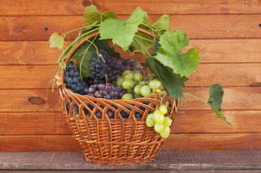 natyurmord Bahçe ahşap duvar bir arka plan üzerinde