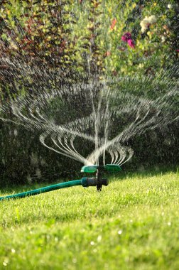 Serpin bahçe içinde hareket