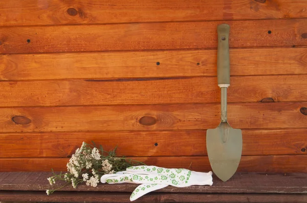 Giardino natyurmord su uno sfondo di una parete di legno — Foto Stock
