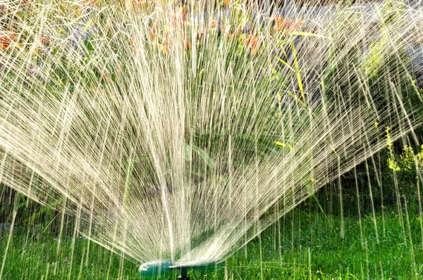 Streugarten in Aktion — Stockfoto