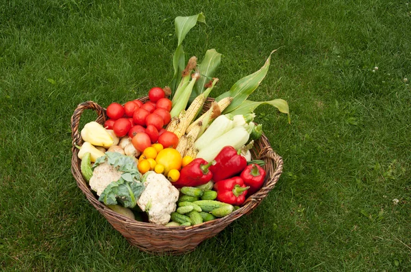 Vegetables in a basket on the lawn Stock Image