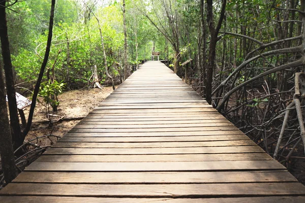 Passarela de ponte de madeira para floresta de mangue — Fotografia de Stock