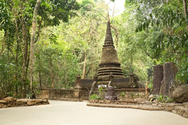 Starobylé pagoda v deštném pralese — Stock fotografie
