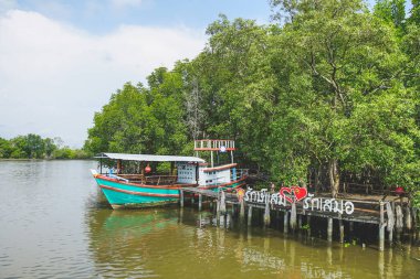 Tayland 'ın Rayong bölgesindeki Rak Samae köprüsündeki Mangrove manzarası. Rak Samae köprüsünü her zaman sevmişimdir.)