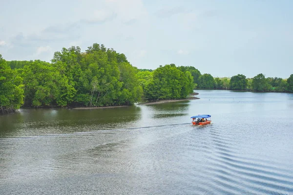 Paysage Mangrove Pont Rak Samae Dans Province Rayong Thaïlande — Photo