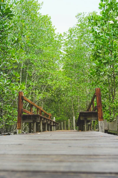 Paisagem Mangue Ponte Rak Samae Província Rayong Tailândia — Fotografia de Stock