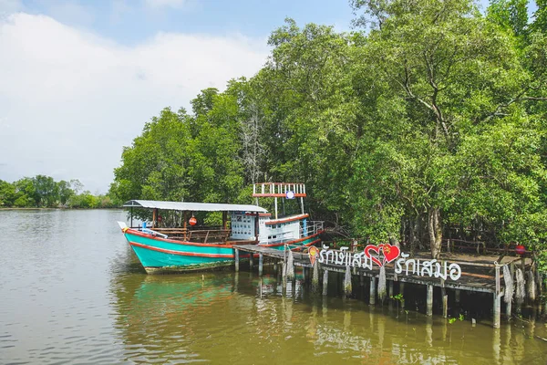 Tayland 'ın Rayong bölgesindeki Rak Samae köprüsündeki Mangrove manzarası. Rak Samae köprüsünü her zaman sevmişimdir.)