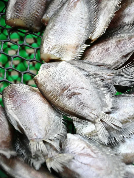 Pescado salado seco — Foto de Stock