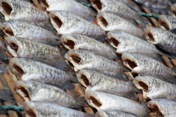 Сушеная соленая рыба — стоковое фото