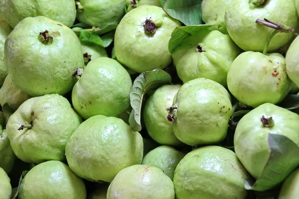 Guayaba — Foto de Stock