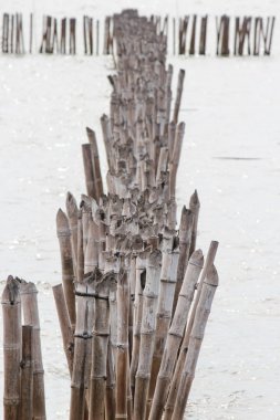 Bambu dalga bariyer