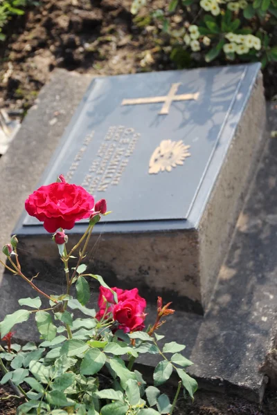 Kanchanaburi War Cemetery — Stock Photo, Image