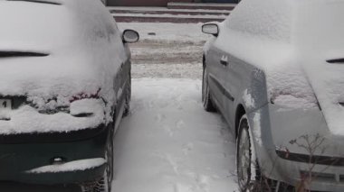 park halindeki arabalar - kar fırtınası