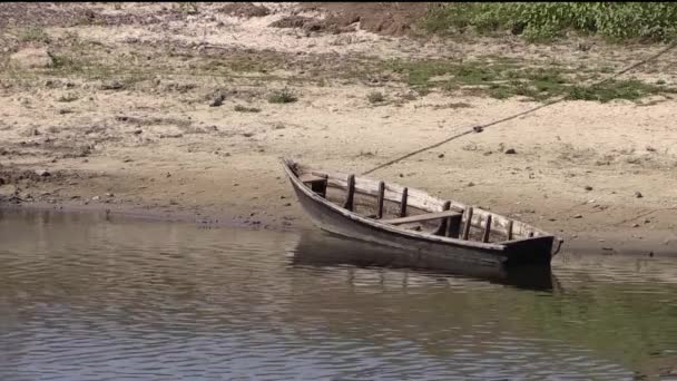 Bateau sur la rivière — Video