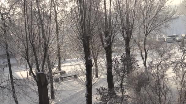 Winter sneeuw bedekte straten in Brest stad — Stockvideo