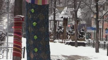 Dekorasyon ağaçları kış City