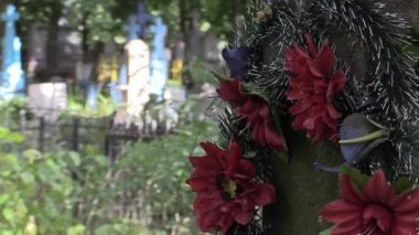 çiçek mezarlığı çit bir ağaca büyümüştü