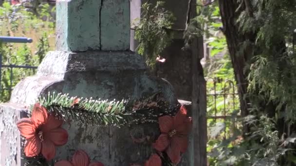 Funeral flowers on the old monument — Stock Video