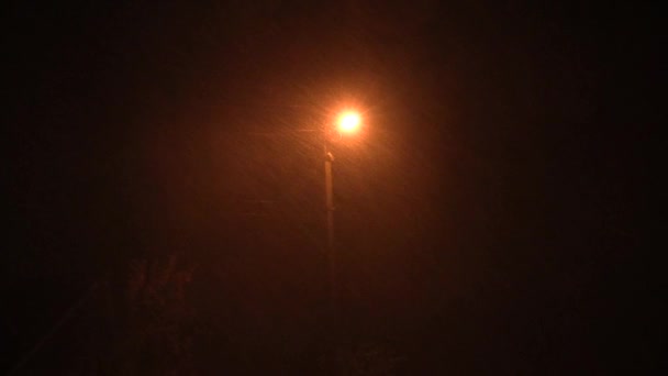 Lluvia nocturna con el viento en la linterna del camino — Vídeo de stock