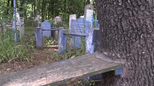 Banco cementerio ruso crecido en un árbol — Vídeos de Stock