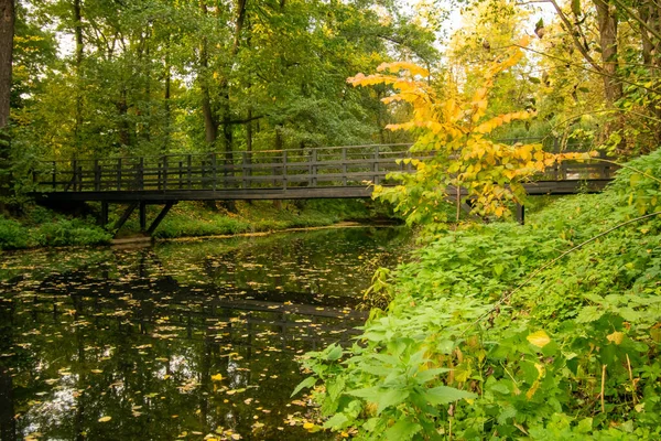 Podzimní Most Přes Řeku — Stock fotografie