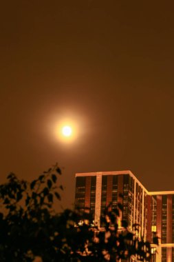 Bulanık arkaplan çekimleri uzun pozlu ay gecesi