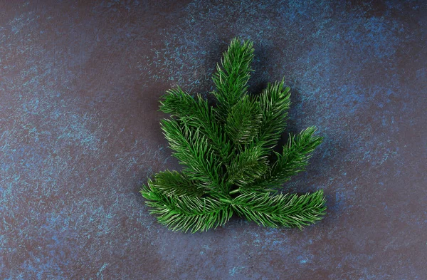 Mooie Kerstachtergrond Spruce Tak — Stockfoto