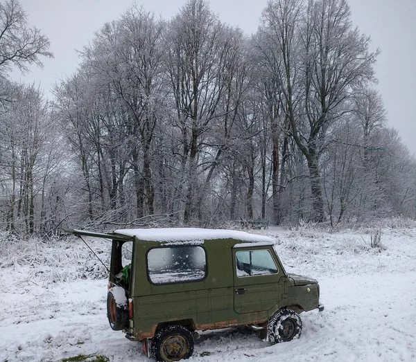 Vinter Gammal Bil Träd Snön Närbild Stockbild