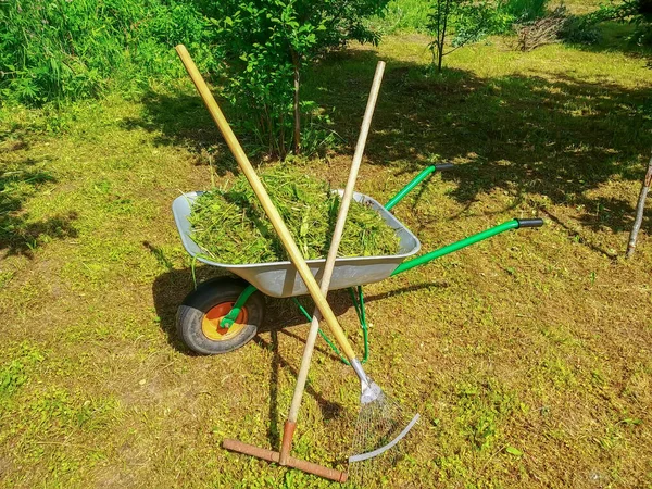 Grüner Gemüsegarten Rasen Gemähtes Gras Gartenschubkarre Gartengeräte Nahaufnahme — Stockfoto