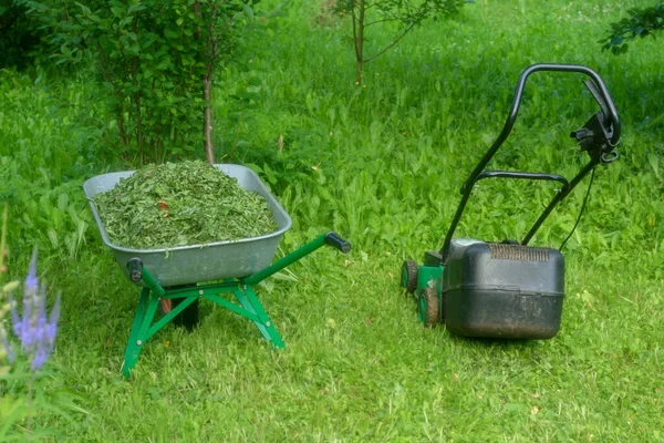 Grüner Gemüsegarten Rasen Gemähtes Gras Gartenschubkarre Gartengeräte Nahaufnahme — Stockfoto