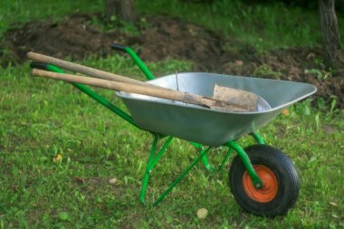 Yeşil sebze bahçesi. Çim. Kendi çimlerim. Bahçe arabası. Bahçe aletleri. Arka plan bulanık. Yakın plan..