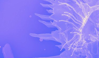 Grafik Akış Şablonu. Mavi Suluboya Moda 