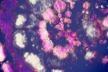 Spiral desenler. Soyut Sanatsal Yazdırma. Su. 