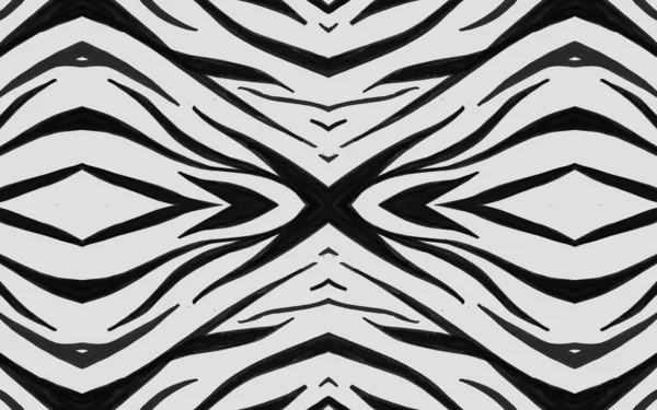 Naadloze Zebra Lines. Abstracte Afrikaanse textuur. — Stockfoto