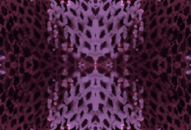 Suluboya Yılan Derisi. 