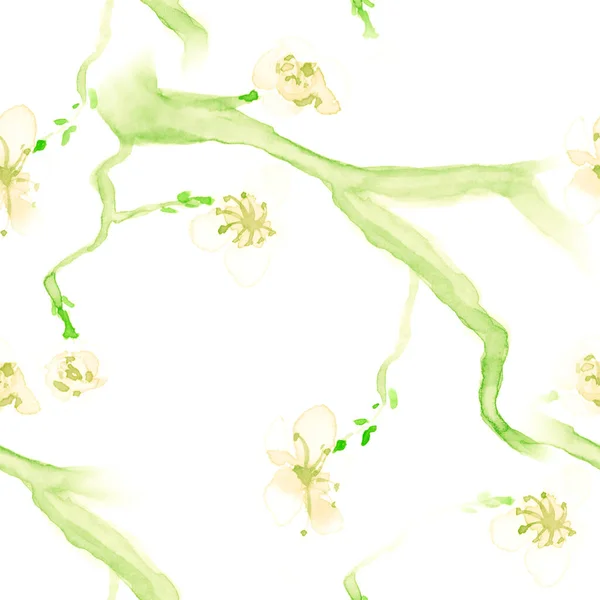 Цветочные рисунки акварель. Безморская вишня — стоковое фото