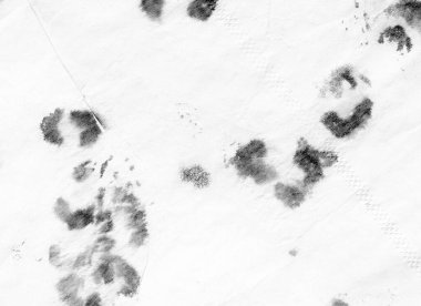 Suluboya Leopar dokusu. 