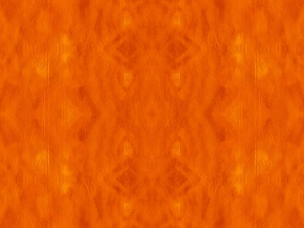 Bright Seamless Ikad Pattern. Nativo Americano — Foto de Stock