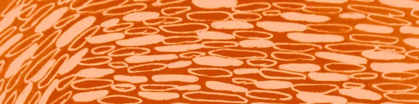 Mark Scribbles Design. Texture della linea di autunno. — Foto Stock