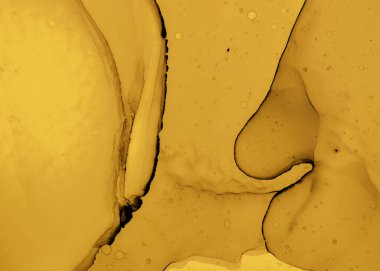 Siyah ve Sarı Soyut Akrilik Desen. Altın 