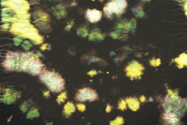 Psikedelik kravat boyası. Soyut Girdap Tasarımı. 